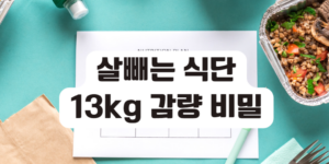 살빼는 식단