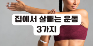 집에서 살빼는 운동