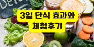 3일 단식 효과
