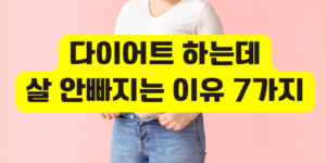살 안빠지는 이유