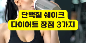 단백질 쉐이크 다이어트
