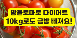 방울토마토 다이어트