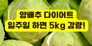 양배추 다이어트 일주일