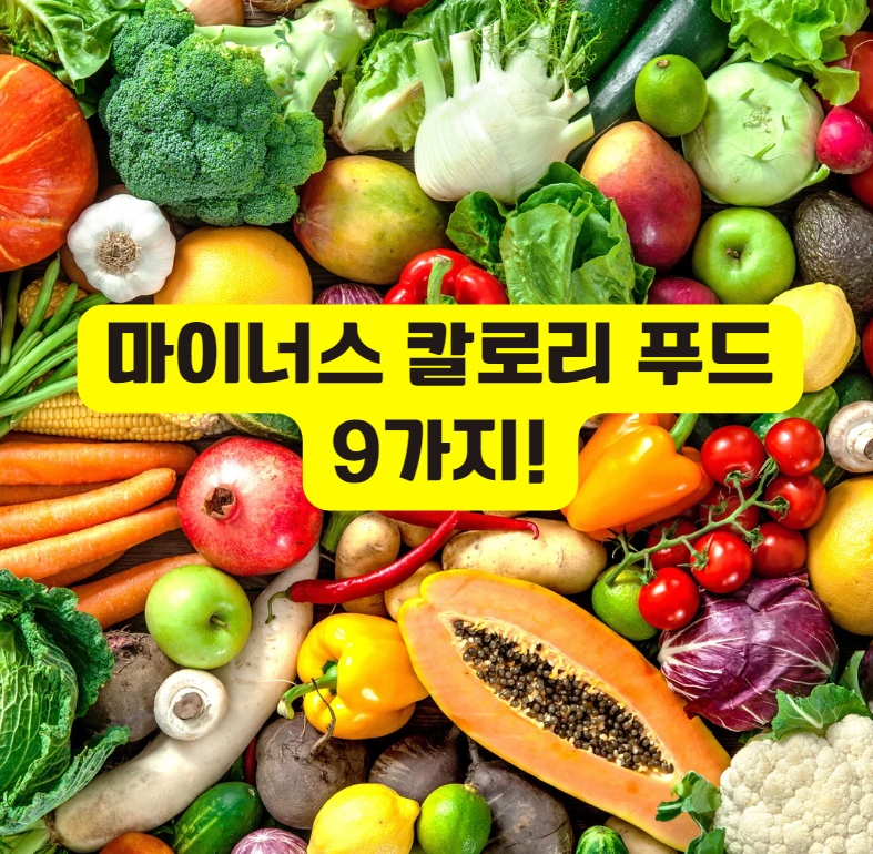 마이너스 칼로리 푸드