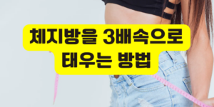 체지방을 3배속으로 태우는 효과적인 방법