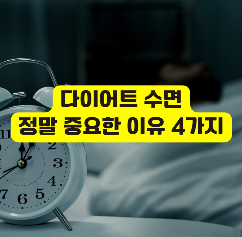다이어트 수면