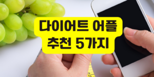 다이어트 어플
