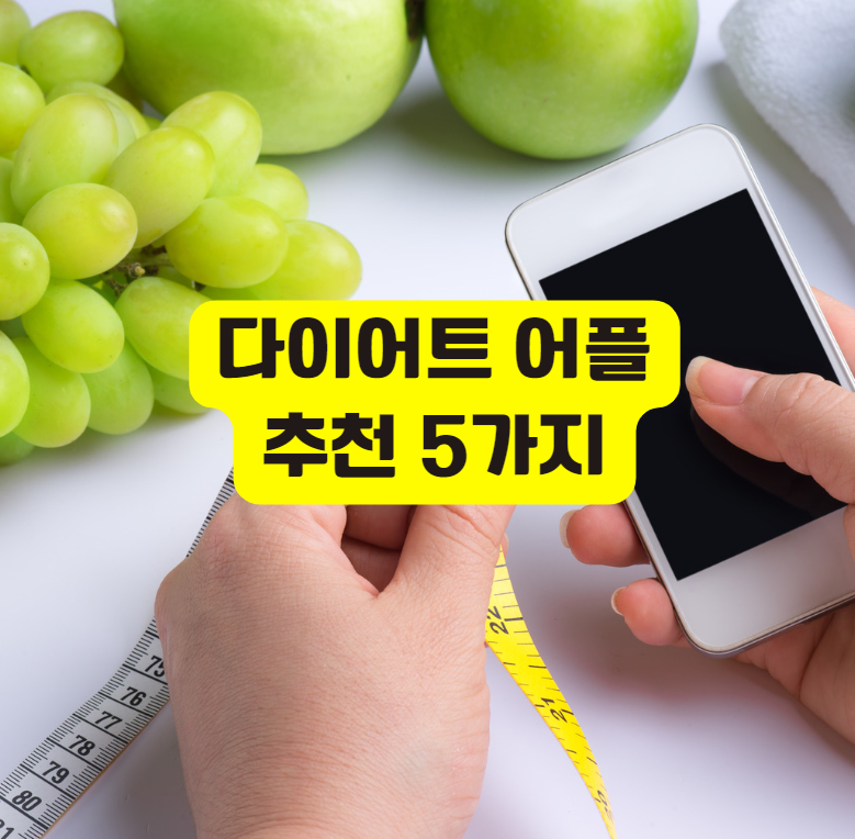 다이어트 어플