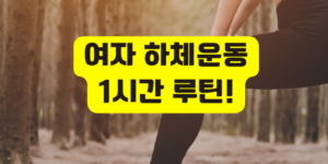 스쿼트