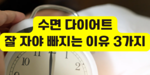 수면 다이어트