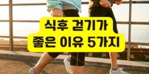 식후 걷기