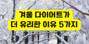 겨울 다이어트