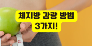 체지방 감량