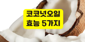 코코넛오일 효능