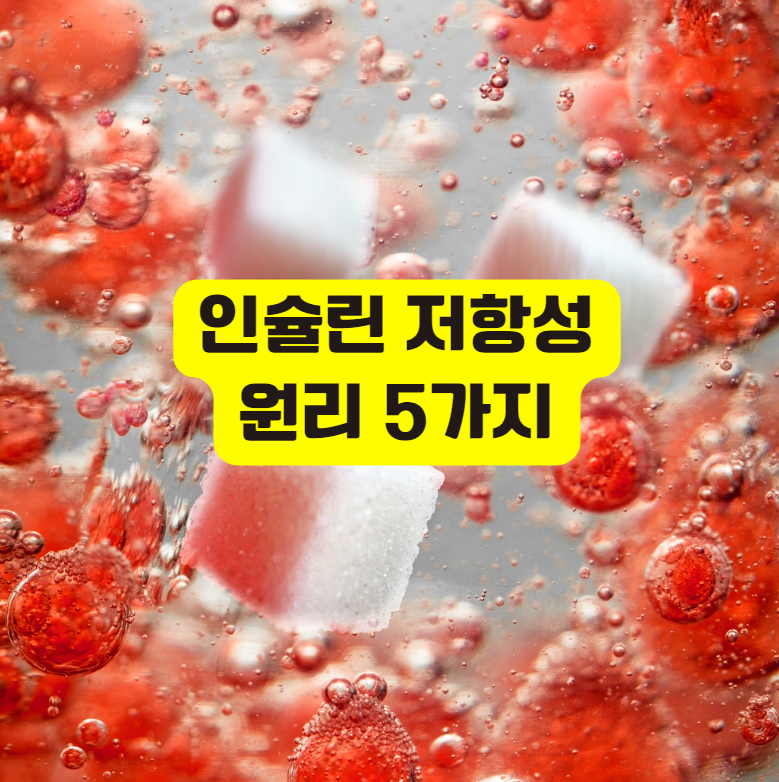 인슐린 저항성 원리