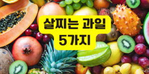 살찌는 과일