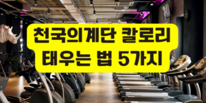천국의계단 칼로리
