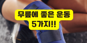 무릎에 좋은 운동