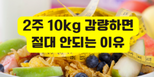 2주 10kg