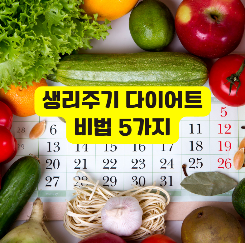 생리주기 다이어트