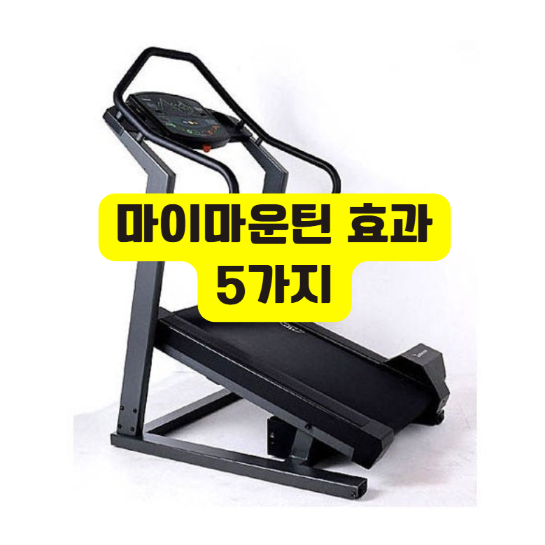 마이 마운틴 효과